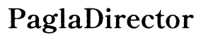 PaglaDirector